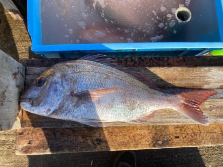 23's 平磯マダイ祭り