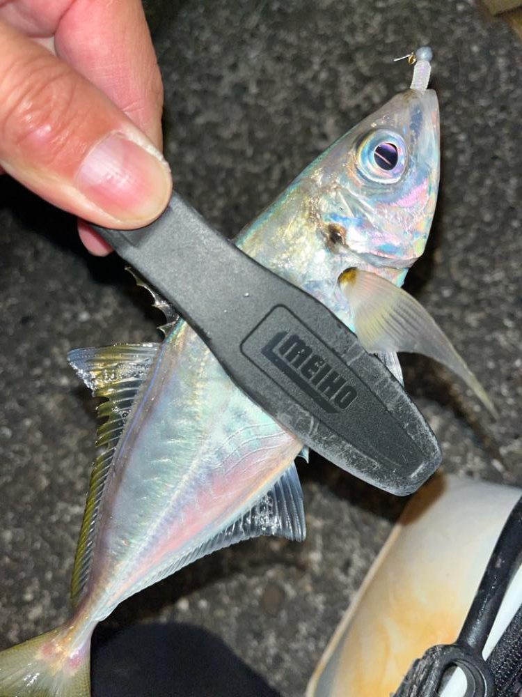 あと少しでドラゴン