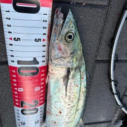 ようやく釣れた