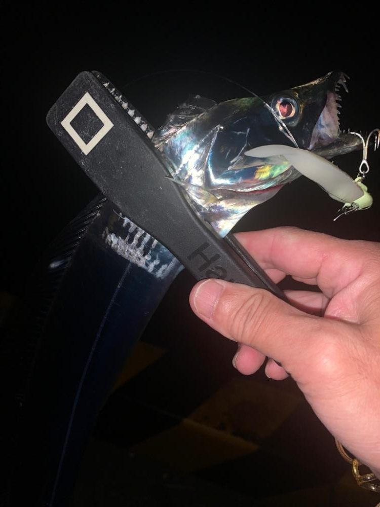 時合に限ってライントラブルします⤵︎