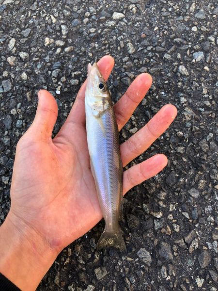 久々の名古屋港