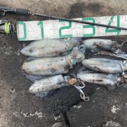 2023 佐渡ヶ島エギング 39回目【10月25日】