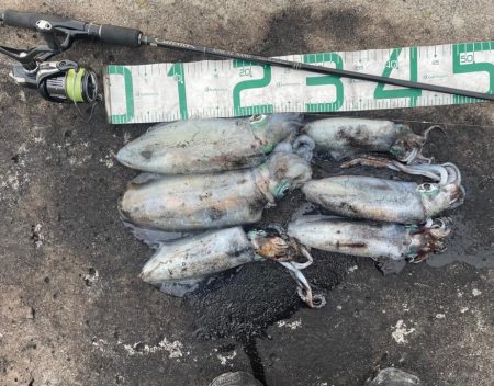 2023 佐渡ヶ島エギング 39回目【10…