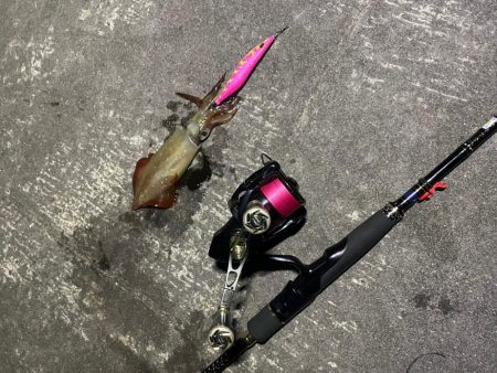 朝練 エギング〜