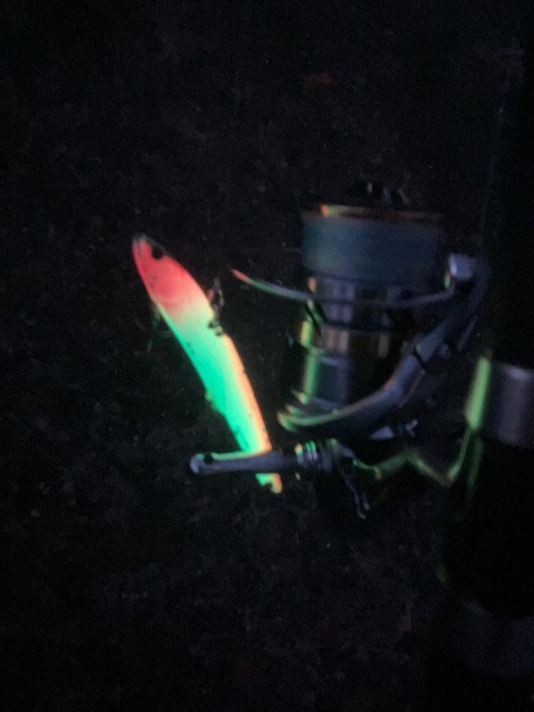 青物バレるも、、