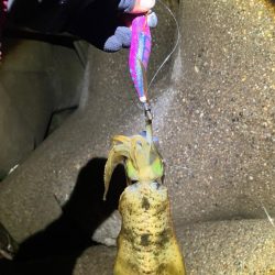 週末ナイトエギング(^^)