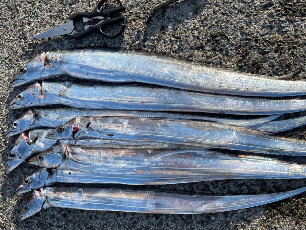 爆風の中、、、