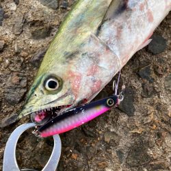 ⭐︎エソガイド