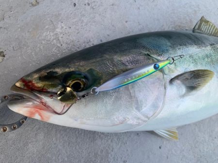 ブレードジギング