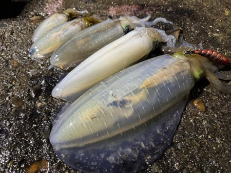 今季初のキロアップ