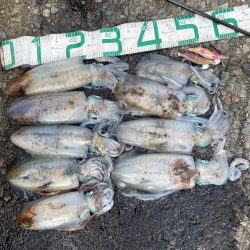 2023 佐渡ヶ島エギング 36回目【10…