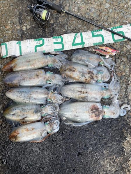 2023 佐渡ヶ島エギング 36回目【10…