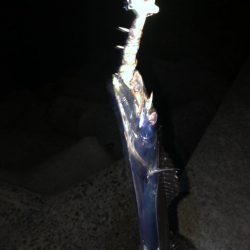 太刀だけでした。