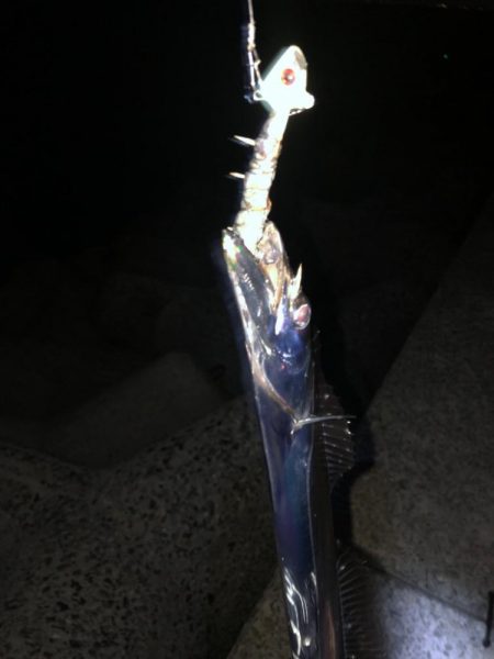 太刀だけでした。