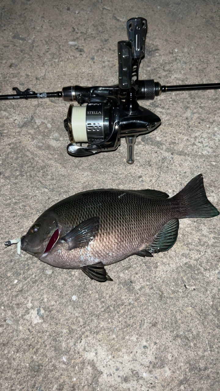 またまた五目達成♪