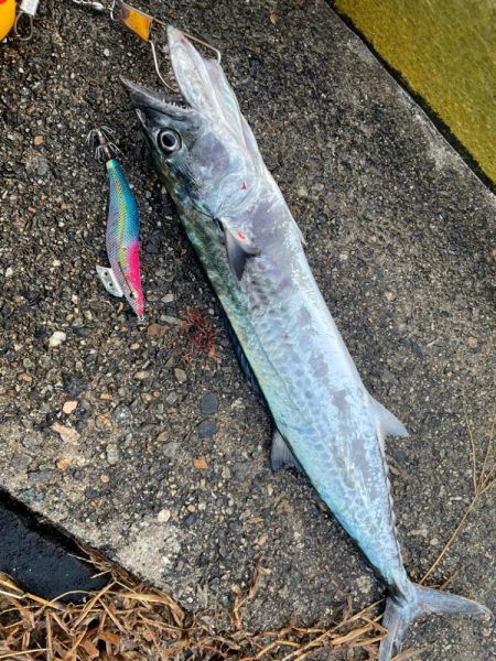 久しぶりの釣果