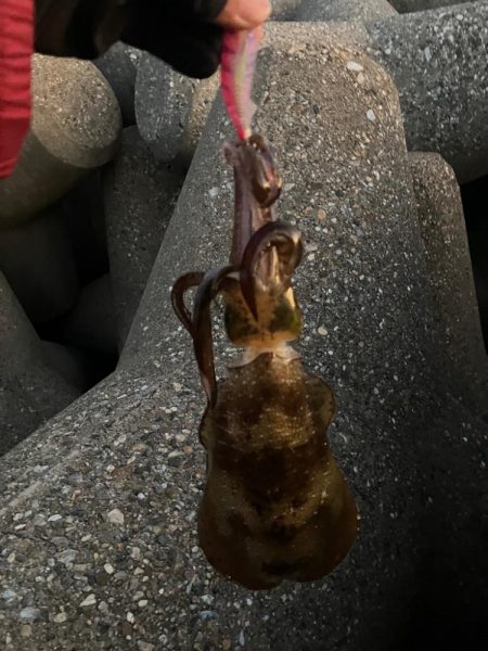 時合いは一瞬σ(^_^;)