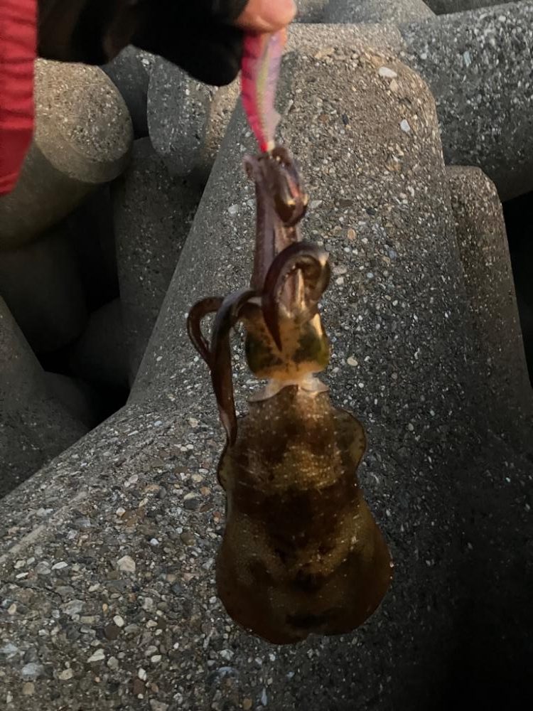 時合いは一瞬σ(^_^;)