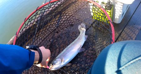 エリアトラウト開幕！！