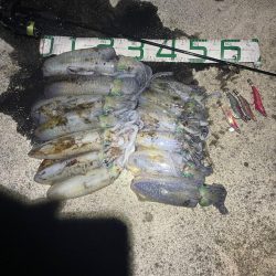 2023 佐渡ヶ島エギング 41回目【10…