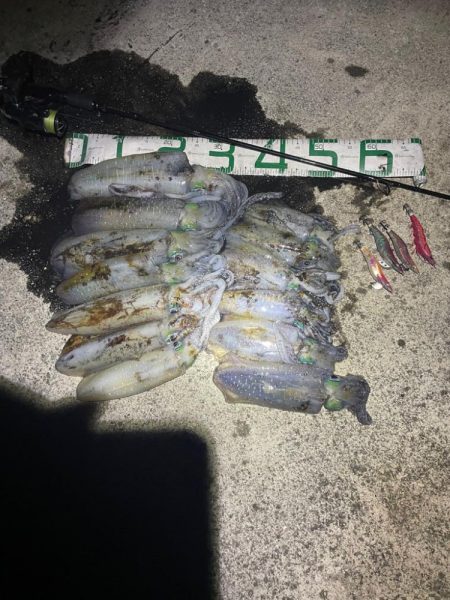 2023 佐渡ヶ島エギング 41回目【10…