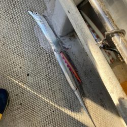 初めてのライトジギング