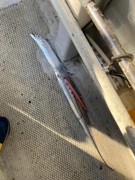 初めてのライトジギング