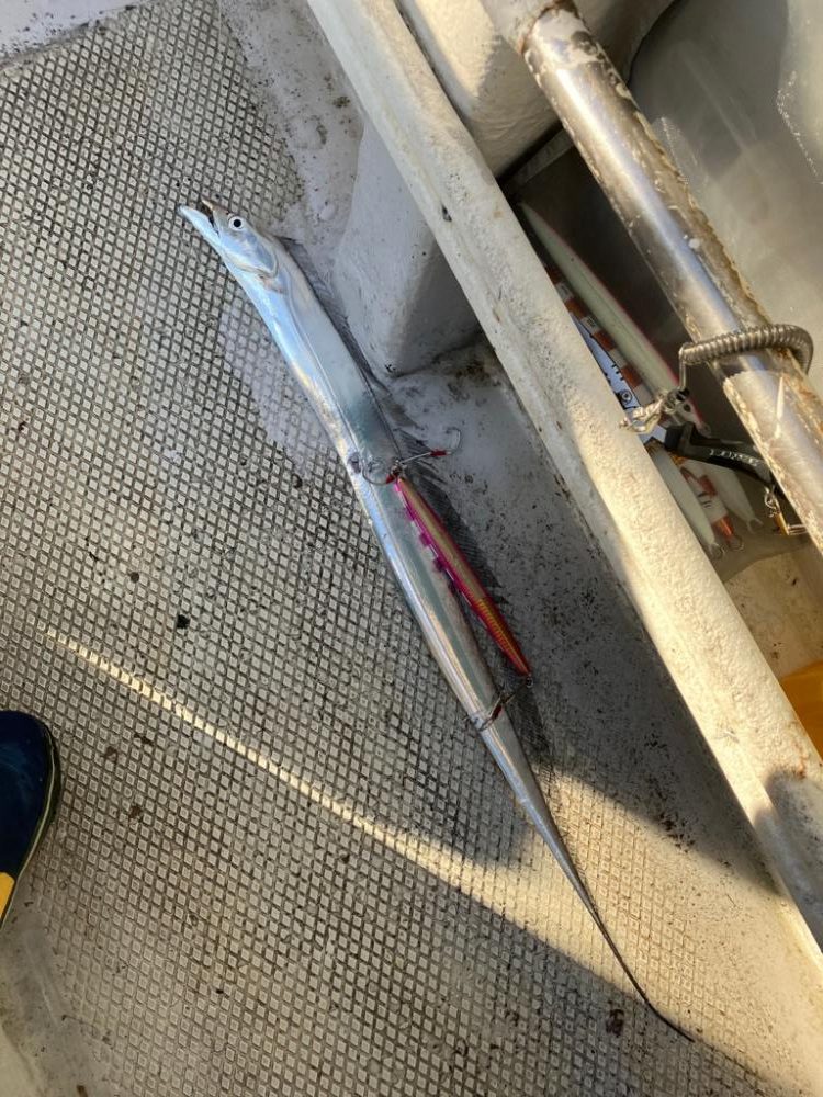 初めてのライトジギング