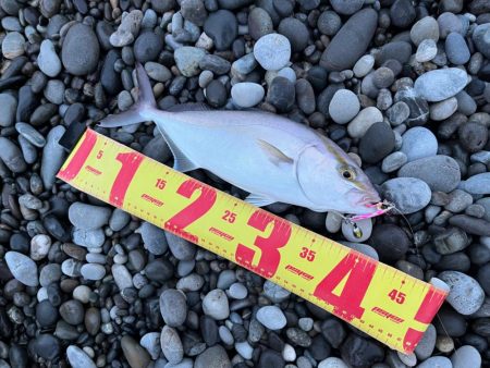 困った時のこのジグ