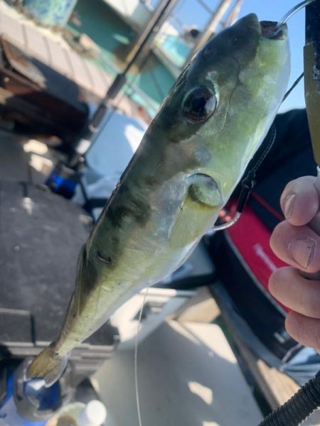 こんなこともありますよね。ないか。