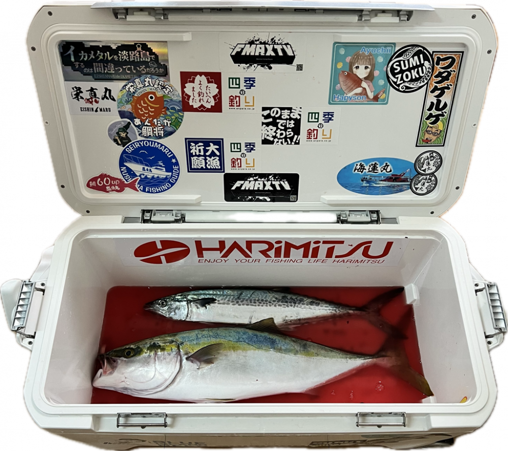 メジロ・サゴシ/ジギング・キャスティング