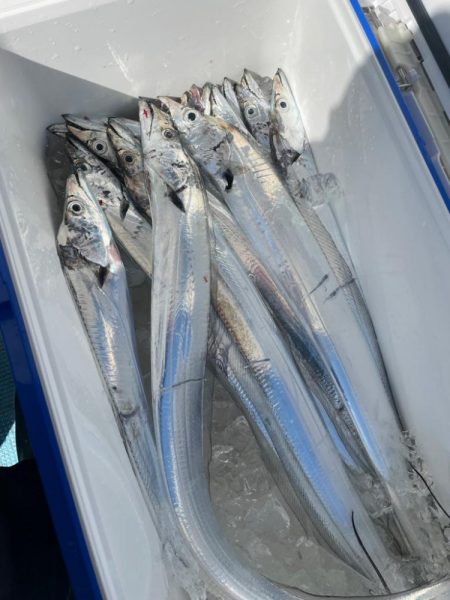 洲本沖ジギング