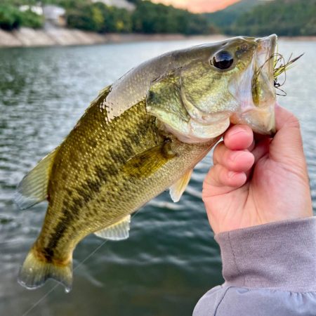 夕まずめにて🌆