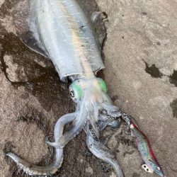 えっサイトで？