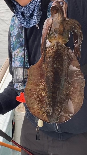 久々のティップラン