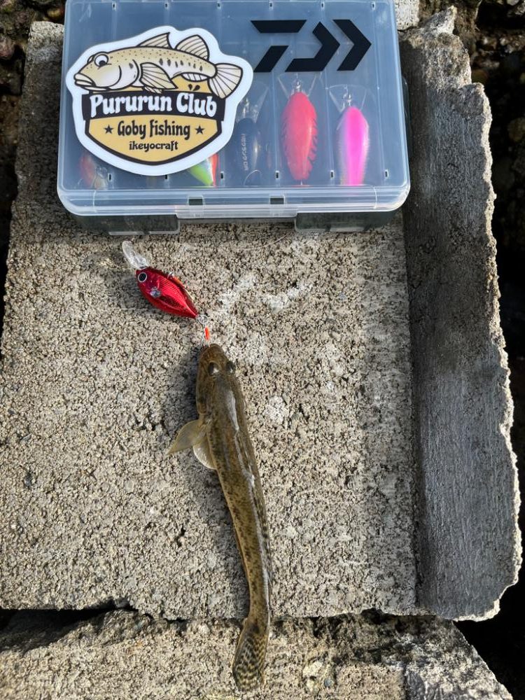 ハゼクランク！