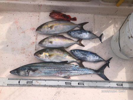 10/24 伊島沖ジギング