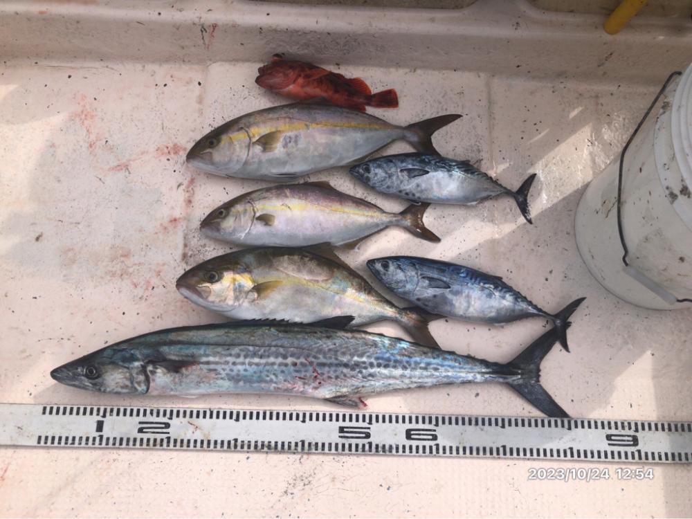 10/24 伊島沖ジギング