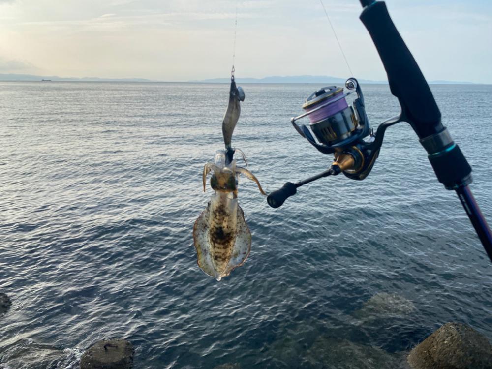 エギング　和歌山の手前
