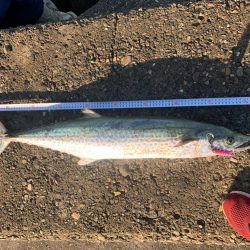 今日は釣れるかなぁ〜?