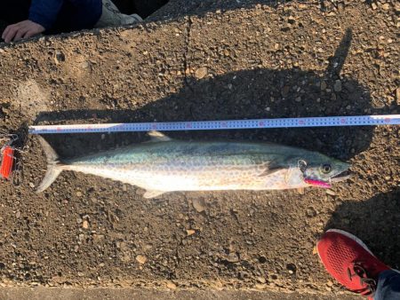 今日は釣れるかなぁ〜?