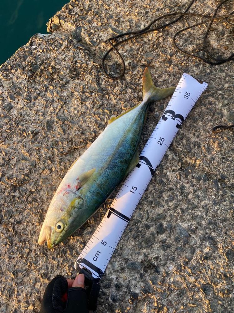 久しぶりの紀北