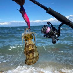 爆風エギング　風速6m