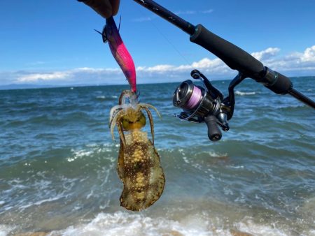 爆風エギング　風速6m