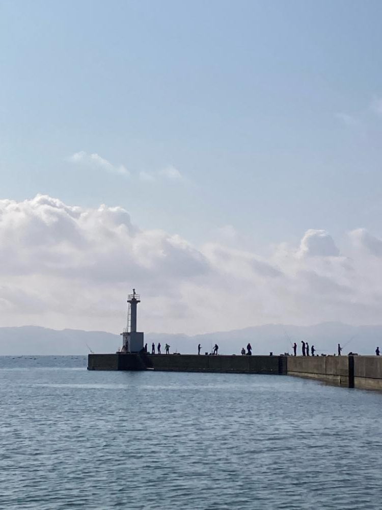 いい引きします!