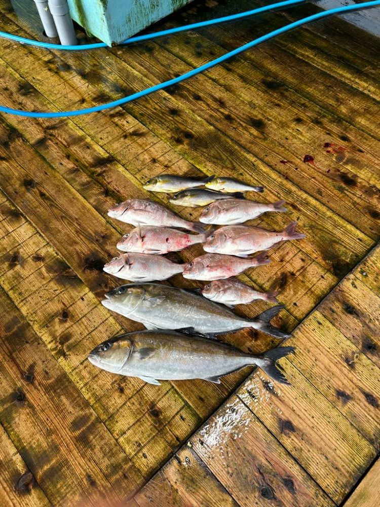 あなたに逢い鯛釣り堀 朝ゆっくりコース