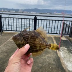 難しいですね。