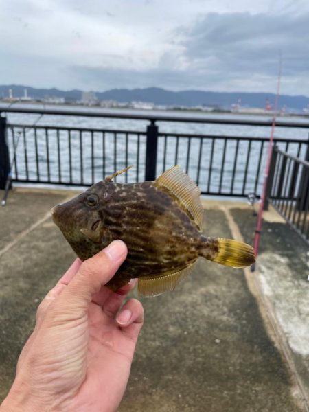 難しいですね。