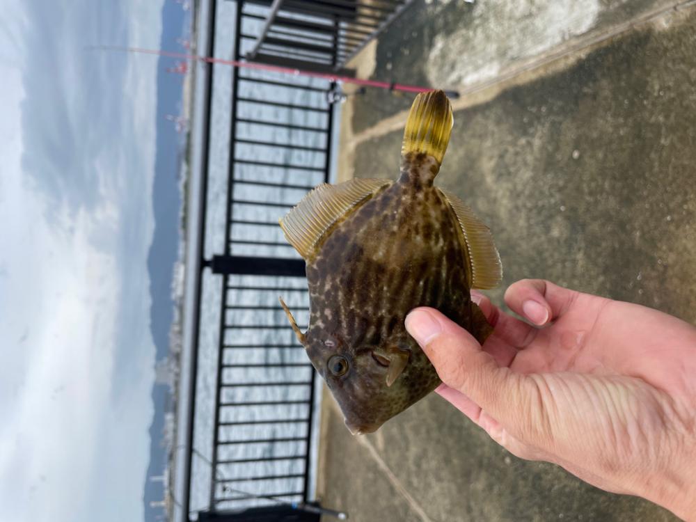 難しいですね。