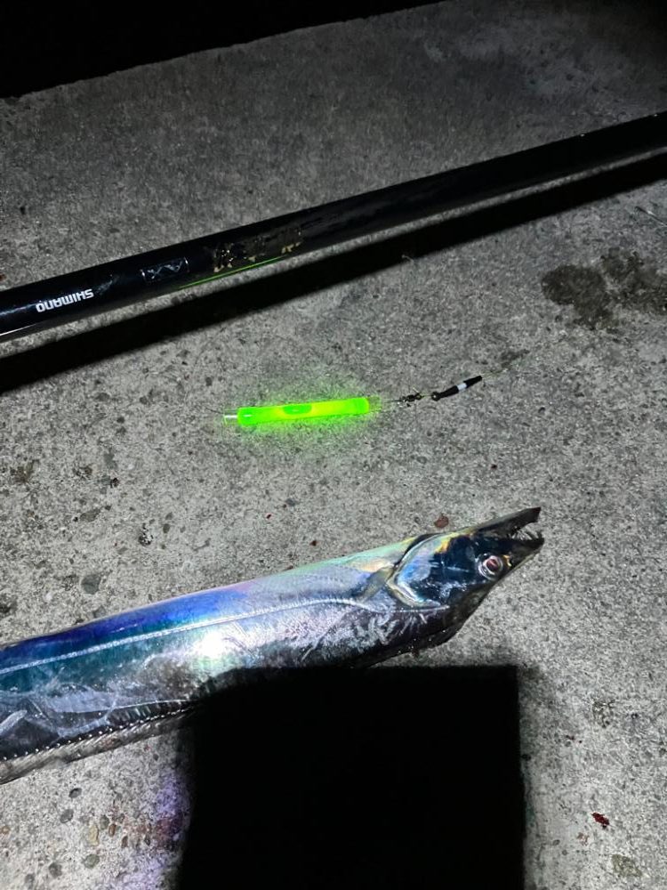 タチウオ電気ウキ釣り